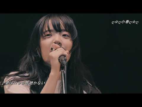 ^^/[#~君はロックを聴かない あいみょん~LIVE]/ღ☆ღ小春ღ☆ღ