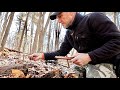 The interesting things &amp; places you find metal detecting in the woods