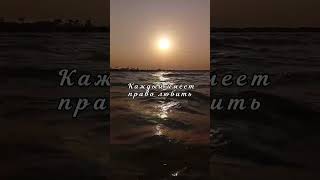 Кирилл Зорин "Каждый имеет право на счастье" #душа #стихиожизни #люди #стихдослез