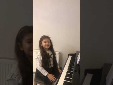 Video: Piyano Menteşesi: Avantajlar, Kurulum Ve Kullanım özellikleri