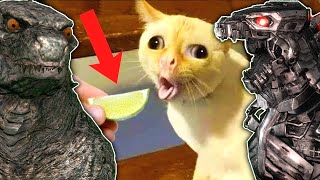 INSANE Try Not To LAUGH With MECHA! (Godzilla Reacts)