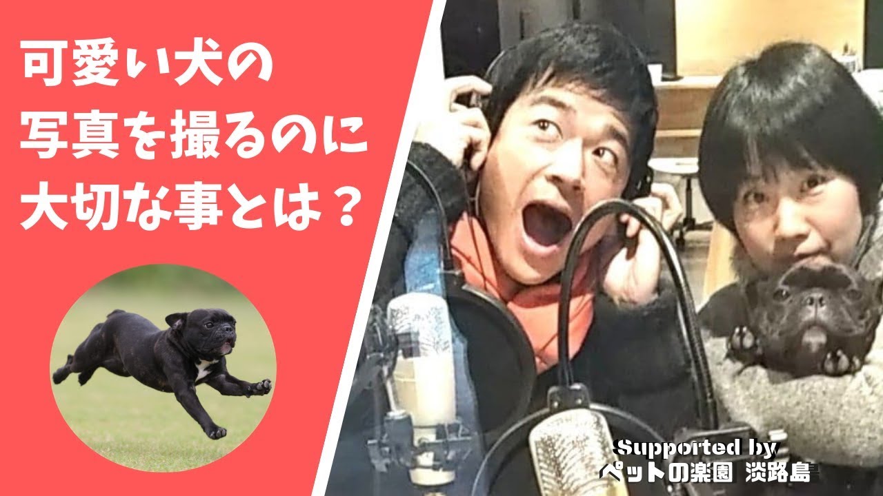 ラジオ 元祖飛行犬カメラマンが教える 最高の一枚を撮るために大切なのは Fm Gig 犬的 豊かな暮らし方19 2 3 Youtube