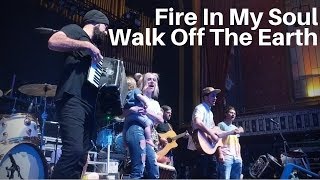 Fire In My Soul Cover (Live and Acoustic) - Walk off the Earth