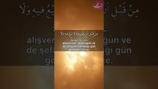 Bakara Suresi 254丨Tarık Muhammed ⁴ᴷ丨#surah #best_quran_recitetion #quran #kuran #قرآن #koran #Allah