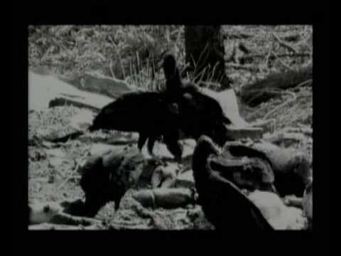 VT 30" - O Verão - YouTube