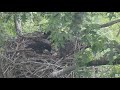 Hays Eagles Juveniles try to figure out what to do with live fish Dad brought in 2021 05 24 9:44AM