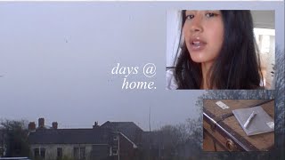 cozy homebody vlog | connecting with my inner child, new year journalling & more
