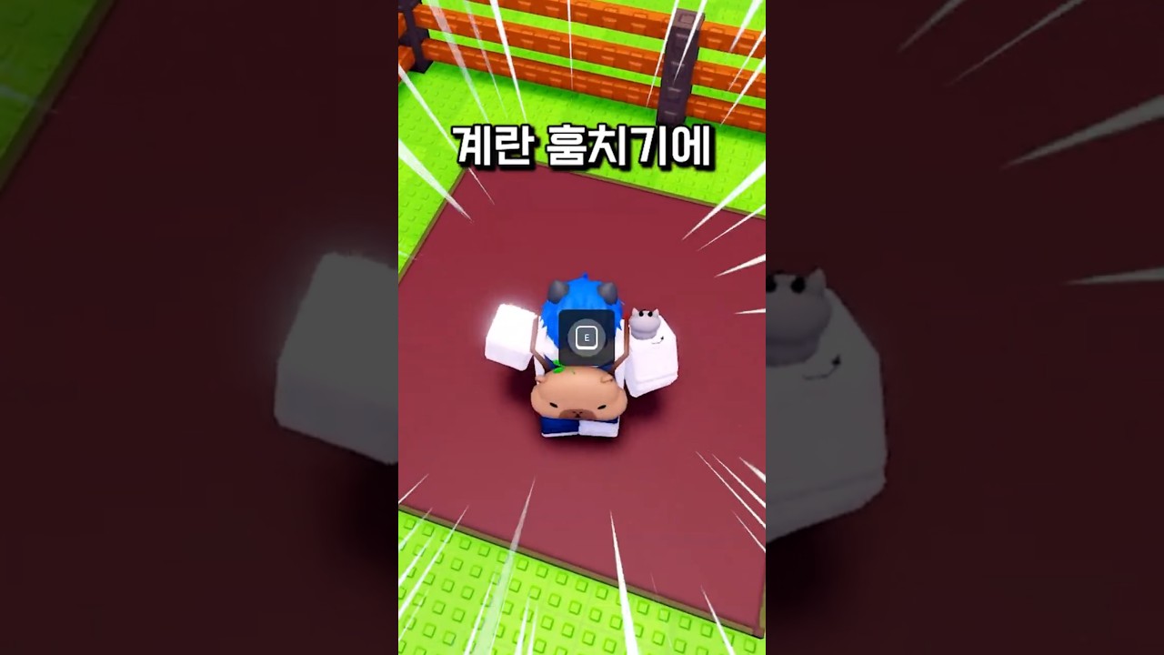 계란훔치기 구독자 전용 비밀문을 숨겼습니다ㄷㄷ