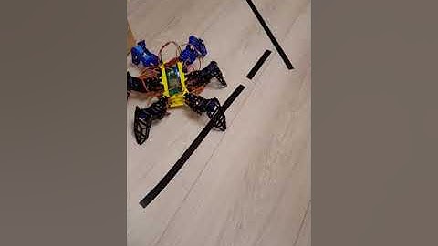 Hexapod - Calibration done , Spyder it can run , amazing ~