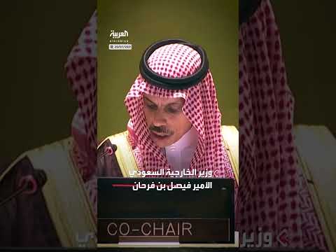 وزير الخارجية السعودي يدعو لتأييد وثيقة حل الدولتين المعتمدة