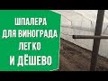 Шпалера для винограда в теплице своими руками