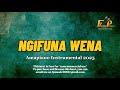 Amapiano Instrumental 2025 NGIFUNA WENA Amapiano Type Beat 2025
