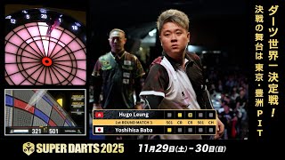 ダーツ TNT ダーツ バレル TRiNiDAD X CHANDLER トリニダード エックス