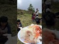 Paniudto namu ganina