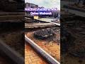 Hazrat Fatima Ki Qabar Mubarak Quranislam360 