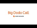 Big Dodo Call - 05.06.2023 / Анна Калмыкова, Head of Marketing, Drinkit