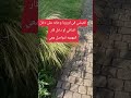 فرصه عمل من منزل لناس في اوروبا 