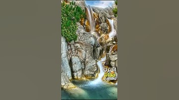 سورة الهمزة - القارىء حسام الدين عبادي