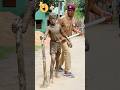 Ziddi Police Or Chor Funny Comedy Shorts Tiktok 