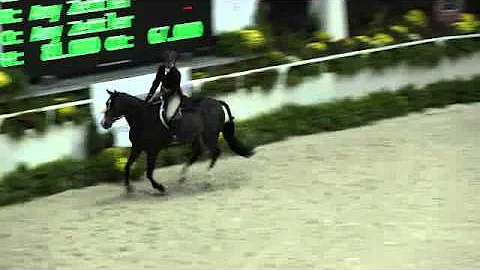 Video of GLAD RAGS ridden by AMY ZETTLER from Show...