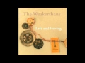 The Weakerthans - Without Mythologies