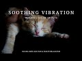 Deep Relaxation - Soothing Vibrations of Calm - The Healing Love of our Pets