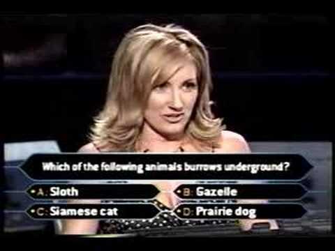 1/2 Lee Ann Womack on Millionaire (top of the charts)