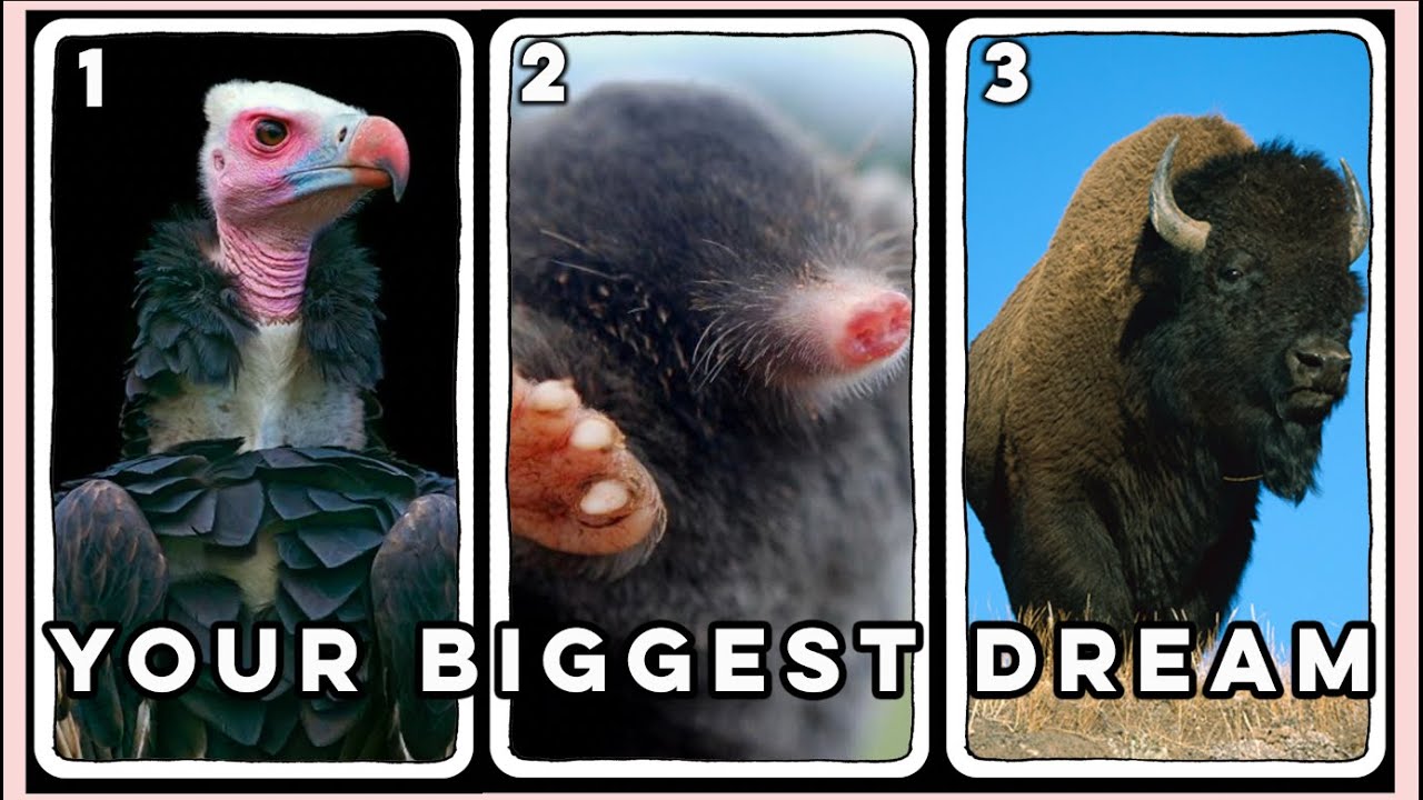 Your BIGGEST DREAM has a message for you! Pick an animal ⭐️