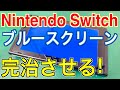 【Switchブルースクリーン修理】これが本当の完全修理方法です Nintendo Switch BSOD Fix