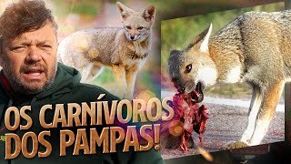 OS CARNÍVOROS DOS PAMPAS! | RICHARD RASMUSSEN