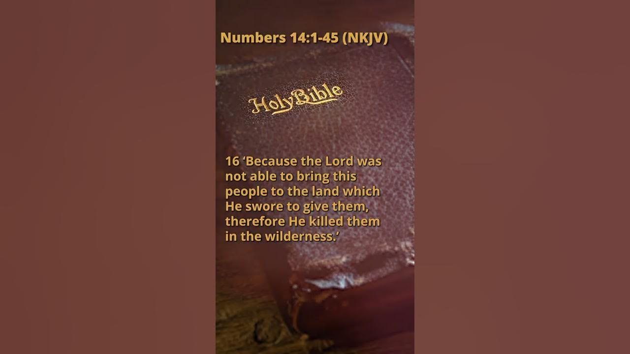 Numbers 14 1 45 NKJV YouTube numbers-14-1-45-nkjv-youtube