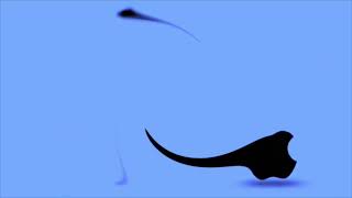 Full Best Animation Logos In G-Major 40 The Original