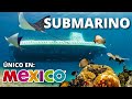 🌊 SUBMARINO TOUR ATLANTIS COZUMEL 🐠  EL ÚNICO en MÉXICO ¡VIMOS TORTUGAS! 🐢 | Vale la pena? PRECIOS