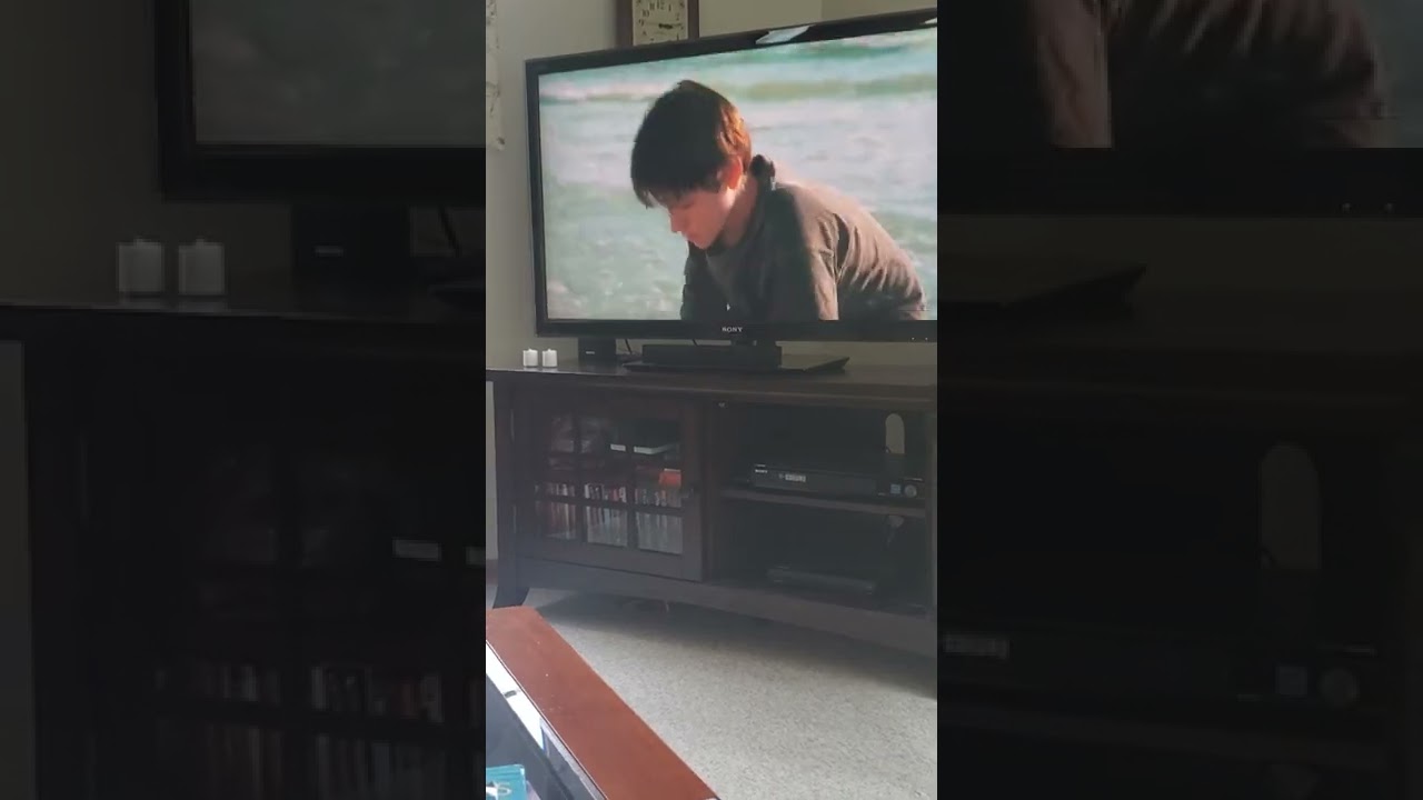 Dolphin Tale Sawyer finds Winter YouTube