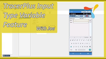 TracerPlus Input Type Variable Feature