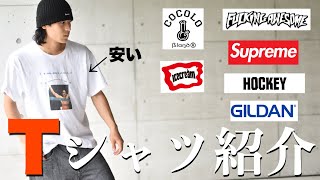 【夏服】オキニのTシャツを全部紹介！第一弾！