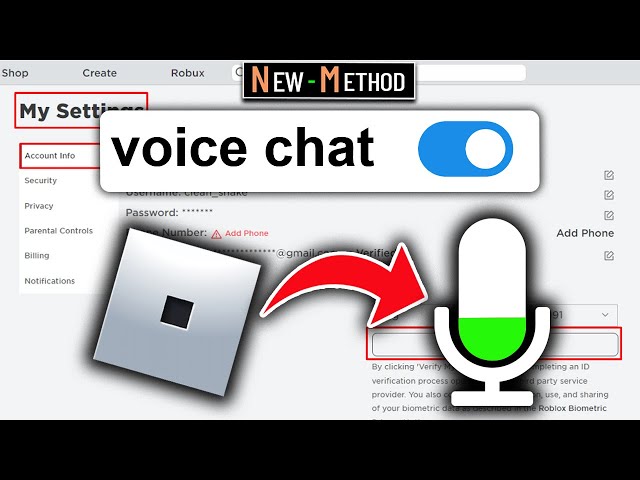 How to Get Voice Chat on Roblox in 2024 - Overview of voice chat on Roblox in 2024