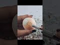 Can I peel it without breaking? #shorts #egg #satisfying