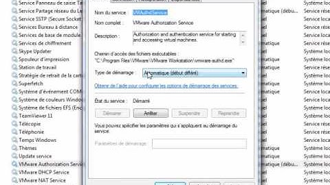Solve VMware workstation "internal error and Not Recognize usb devices" "