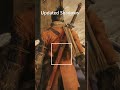 Which improvement looks the best? #sekiro #sekiroshadowsdietwice