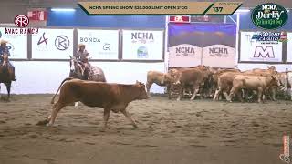 Ncha Spring Show $25.000 Limit Rider Champion