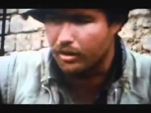 Tet Offensive War Footage
