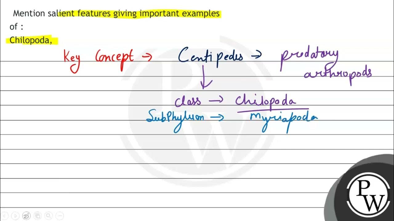 Mention salient features giving important examples of chilopoda