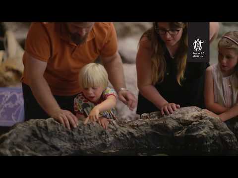 Royal BC Museum: extended trailer