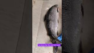 How to make salmon fillets at home. #salmonfillet #salmonfish #easymethod