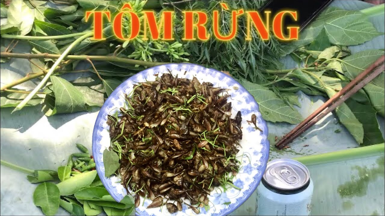 Thưởng Thức Đặc Sản Tôm Bay Giữa Rừng Chàm .@Dunglangno - YouTube