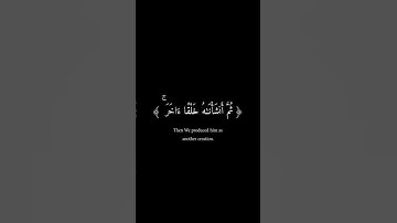 "خشوع لا يوصف | تلاوة خاشعة تهز القلوب | قرآن كريم بصوت عذب