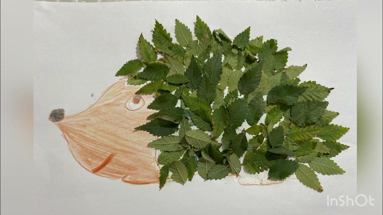 Желідегі алғашқы гей секс туралы видео