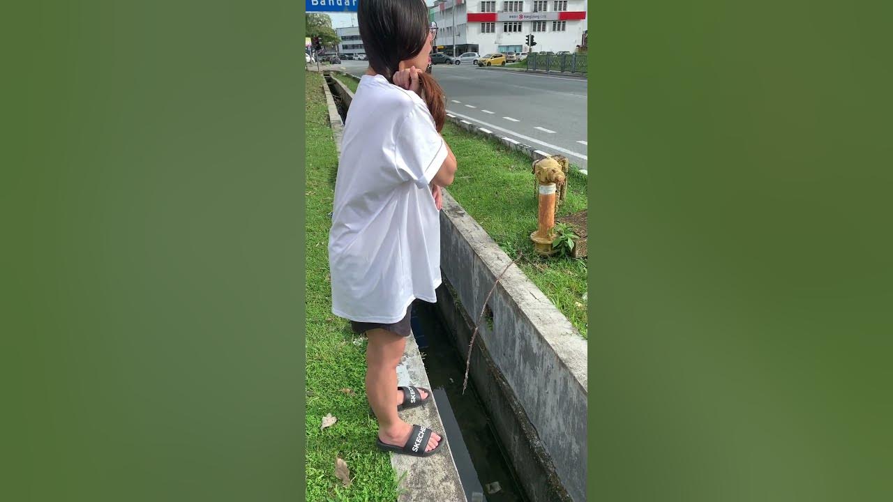 第二十八周,  孕妇呕吐，双胞胎怀孕
