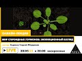 Онлайн-лекция Георгия Куракина "Мир стероидных гормонов: эволюционный взгляд"